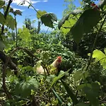 Фермерский дом Agriturismo Fattoria Montecontessa *