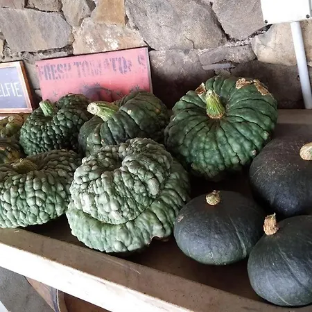 Agriturismo Fattoria Montecontessa Çiftlik konaklama *