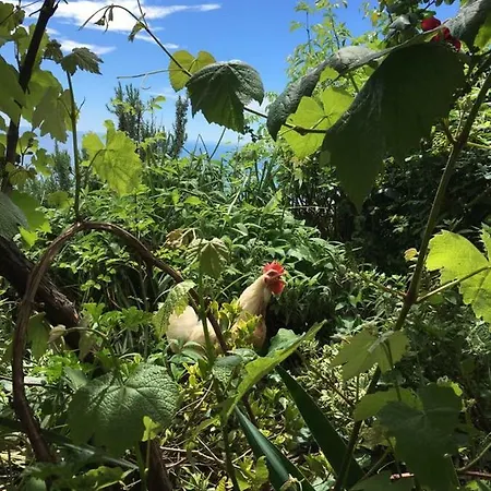 مزرعة للإقامة Agriturismo Fattoria Montecontessa *