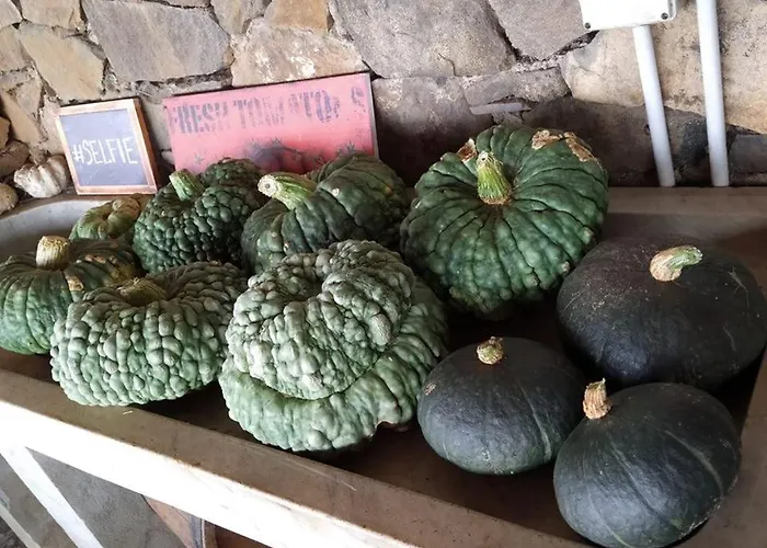 Agriturismo Fattoria Montecontessa Çiftlik konaklama *