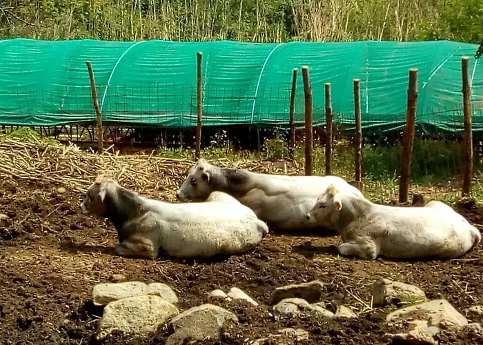 Çiftlik konaklama Agriturismo Fattoria Montecontessa Cenova